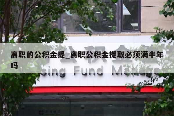 离职的公积金提_离职公积金提取必须满半年吗